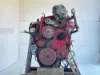 Picture of (Used) 2015 Cummins ISL, ENGINE ASSEMBLY- 