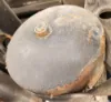 Picture of (Used) 2003 Freightliner Columbia 120, AIR TANK (2)