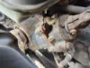 Picture of (Used) 2017 Freightliner Cascadia 113, STEERING BOX