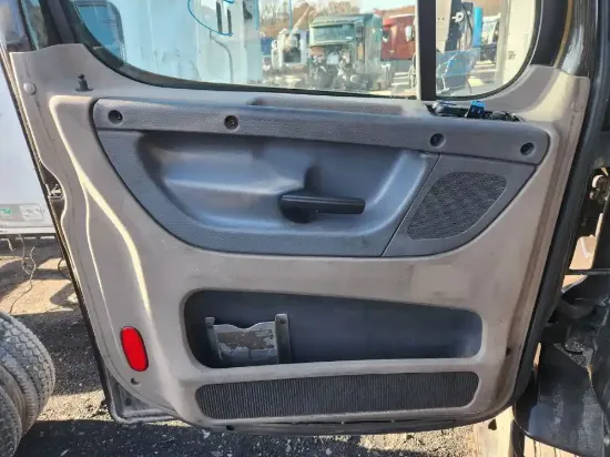 Picture of (Used) 2017 Freightliner Cascadia 113, INTERIOR DOOR PANEL