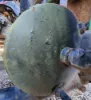 Picture of (Used) 2000 Sterling A9513, AIR TANK (2)