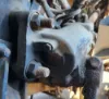 Picture of (Used) 1999 Sterling A9513, STEERING BOX