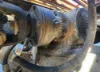 Picture of (Used) 2009 Mack CXU612, FRONT DIFFERENTIAL GEARS ONLY