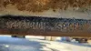 Picture of (Used) 2009 Mack CXU612, FRONT AXLE BEAM