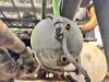 Picture of (Used) 2003 Sterling A9500, AIR TANK