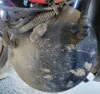 Picture of (Used) 2009 Mack CXU612, AIR TANK (3)