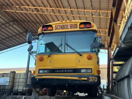 Picture of 2003-blue-bird-all-americanall-canadian-school-bus