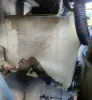 Picture of (Used) 2006 Sterling ACTERRA, WASHER BOTTLE