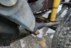 Picture of (Used) 2006 Sterling ACTERRA, FRONT LEAF SPRINGS