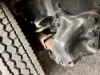 Picture of (Used) 2007 Freightliner M2 106, REAR LEAF SPRINGS
