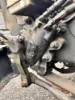 Picture of (Used) 2007 Freightliner M2 106, STEERING BOX