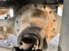 Picture of (Used) 2005 Chevrolet C4500, DIFFERENTIAL GEARS ONLY- 