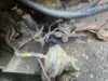Picture of (Used) 2007 Freightliner Columbia 120, FRONT LEAF SPRINGS