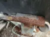 Picture of (Used) 2007 Sterling SC8000 Cargo, FENDER EXTENSION