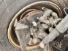 Picture of (Used) 2024 Chevrolet 4500HG, FRONT SPINDLE/KNUCKLE
