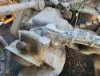Picture of (Used) 2017 Mack GU813, REAR DIFFERENTIAL GEARS ONLY