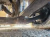 Picture of (Used) 2020 Western Star 4900 FA, COMPLETE FRONT AXLE