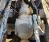 Picture of (Used) 2017 Mack GU813, COMPLETE TANDEM CUTOFF
