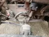 Picture of (Used) 2018 Peterbilt 567, FRONT LEAF SPRINGS