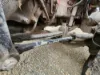 Picture of (Used) 2018 Peterbilt 567, FRONT LEAF SPRINGS