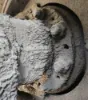Picture of (Used) 2019 Peterbilt 567, REAR DIFFERENTIAL HUBS
