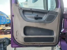 Picture of (Used) 2017 Freightliner Cascadia 125, INTERIOR DOOR PANEL