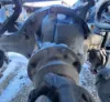 Picture of (Used) 2016 Freightliner Cascadia 113, COMPLETE REAR DIFFERENTIAL