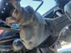 Picture of (Used) 2023 Kenworth T680, FRONT DIFFERENTIAL GEARS ONLY