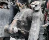 Picture of (Used) 2020 Freightliner M2 106, STEERING BOX