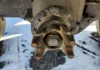 Picture of (Used) 2003 Chevrolet C7500, COMPLETE REAR DIFFERENTIAL