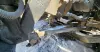 Picture of (Used) 2003 Chevrolet C7500, FRONT LEAF SPRINGS