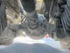 Picture of (Used) 2021 International HV613, REAR DIFFERENTIAL GEARS ONLY