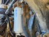 Picture of (Used) 2006 Peterbilt 357, WATER SEPARATOR