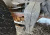 Picture of (Used) 2005 Sterling L7500, REAR LEAF SPRINGS