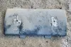 Picture of (Used) 2019 Freightliner Cascadia 126, BATTERY BOX COVER (1)