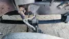 Picture of (Used) 2003 Mack CH613, FRONT LEAF SPRINGS
