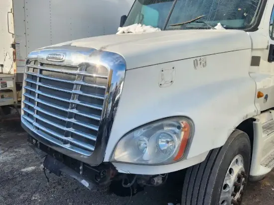 Picture of (Used) 2014 Freightliner Cascadia 125, HOOD ASSEMBLY