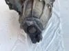 Picture of (Core) Paccar MV2014P,  COMPLETE FRONT DIFFERENTIAL GEARS ONLY- 
