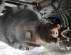 Picture of (Used) 2020 Freightliner M2 106, DIFFERENTIAL GEARS ONLY