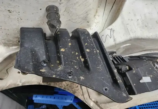 Picture of (Used) 2024 Freightliner M2 106, INNER FENDER HOOD