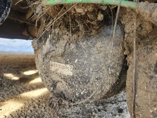 Picture of (Used) 2020 Freightliner Cascadia 126, AIR TANK