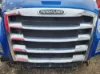 Picture of (Used) 2019 Freightliner Cascadia 126, GRILLE
