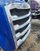 Picture of (Used) 2019 Freightliner Cascadia 126, GRILLE