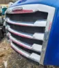 Picture of (Used) 2019 Freightliner Cascadia 126, GRILLE