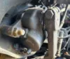 Picture of (Used) 2019 Freightliner Cascadia 126, STEERING BOX