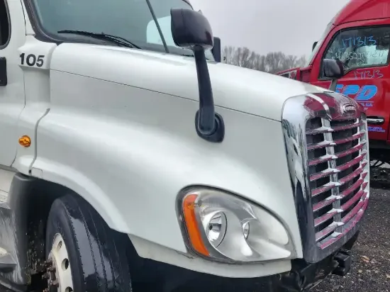 Picture of (Used) 2018 Freightliner Cascadia 125, HOOD ASSEMBLY