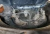 Picture of (Used) 2022 Freightliner Cascadia 126, REAR DIFFERENTIAL HUBS
