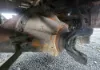 Picture of (Used) 2016 Peterbilt 337, DIFFERENTIAL GEARS ONLY