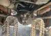 Picture of (Used) 2006 Freightliner M2 106, DIFFERENTIAL HOUSING ONLY