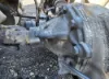 Picture of (Used) 2021 Freightliner Cascadia 126, REAR DIFFERENTIAL GEARS ONLY